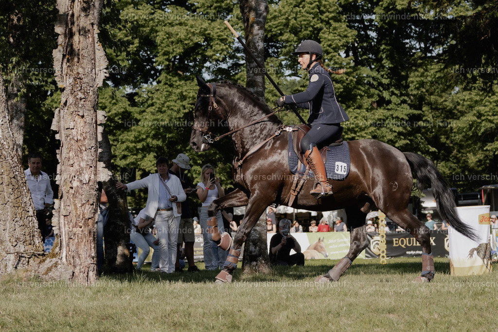 WE_MOS_Stoib_315_PI2025_2343 | Pferd International München 2025