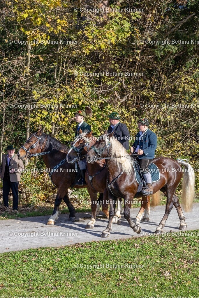 LBT24-574 | foto-bettina-krinner - Realisiert mit Pictrs.com