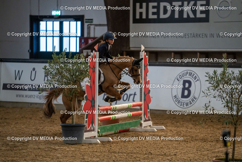 Kranichstein Tag 2-1034 | dv-media-shop - Realisiert mit Pictrs.com