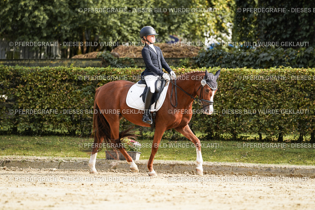 DSC05882 | Pferdegrafie