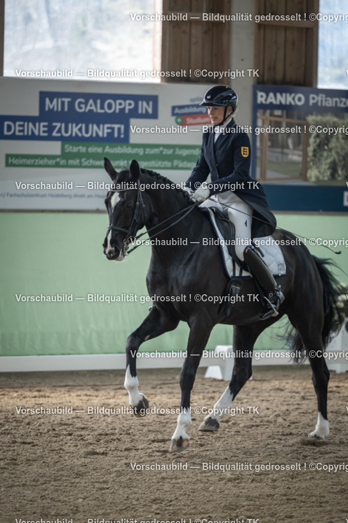 _D5A4667 | Emotionale Pferde- & People-Fotografie rund um Heidelberg, Leimen & Umgebung. Natürliche Fotos von Pferd, Mensch & Familie. Jetzt Termin sichern!