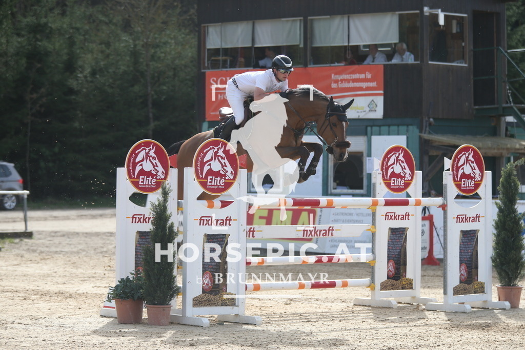 AS8V5297 | Willkommen bei Brunnmayr - Design & Fotografie – Ihrem Spezialisten für Reitturniere und Pferdeveranstaltungen in Oberösterreich, Salzburg und Bayern! Seit über 17 Jahren sind wir leidenschaftlich dabei.