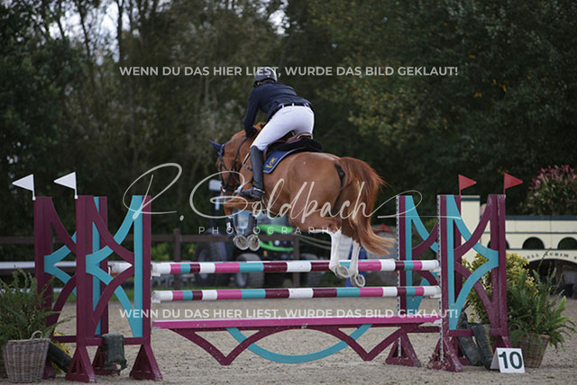 1J2A4980Claas Hermann Romeike_ Unikat 39_ Kn950_ Havekost | Foto- und Videografie für alles rund ums Pferd. Hochwertige Bilder und Videos vom Spring- und Dressurreiten, Voltigieren & mehr. Jetzt aktuelle Veranstaltungen und Preise im Shop ansehen. - Realisiert mit Pictrs.com