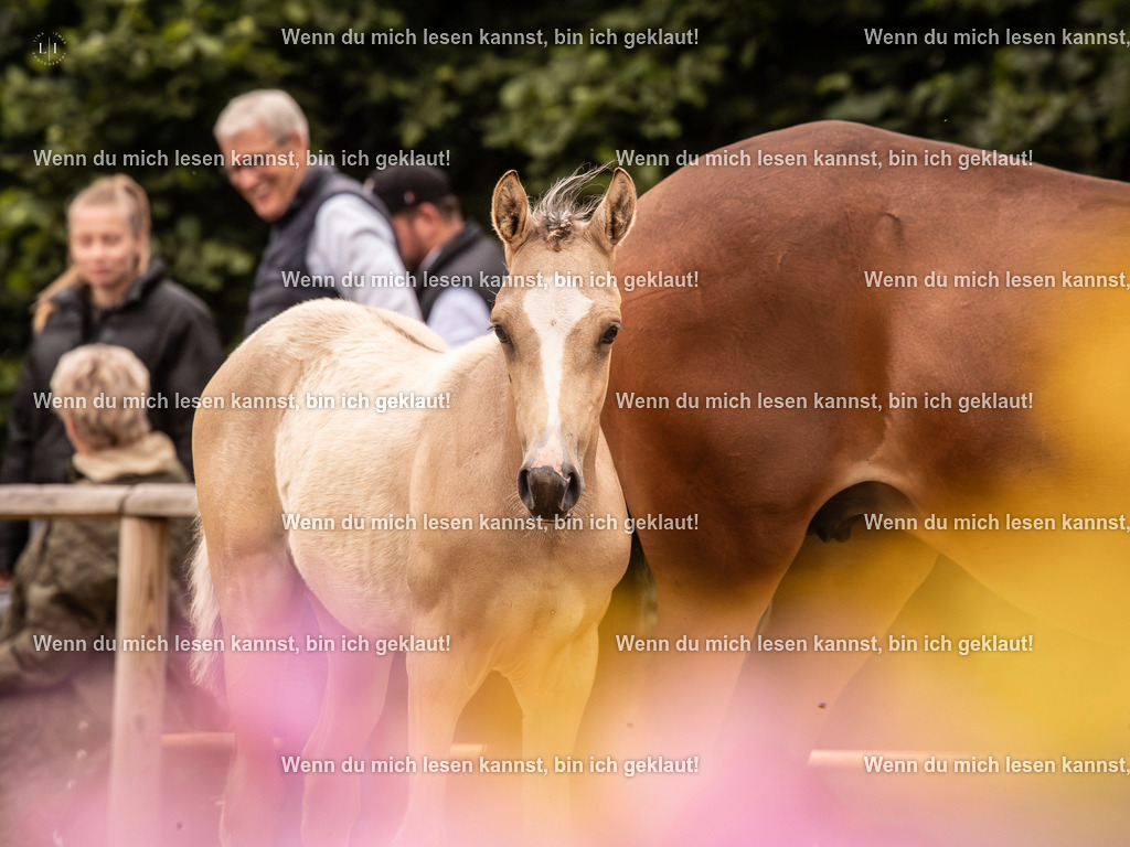 A10I3236-Verbessert-RR 15.56.14 | photographylinaismer - Realisiert mit Pictrs.com
