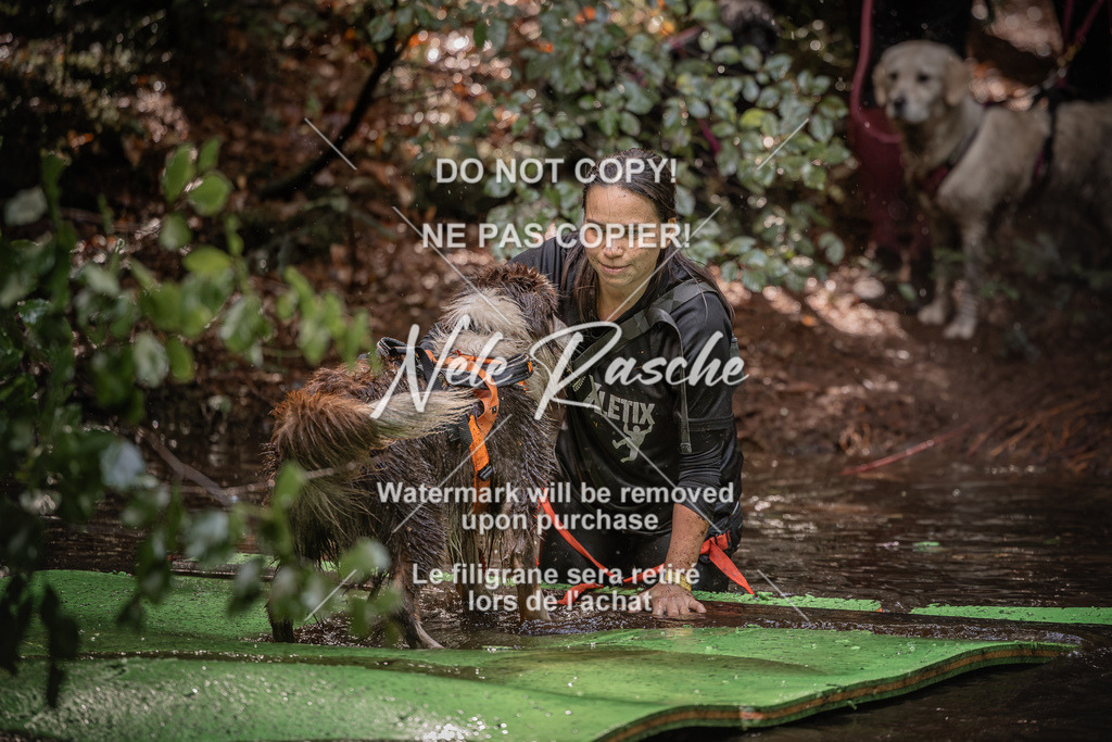 nelerasche_Wingst_Sa1330-1400_211 | nelerasche