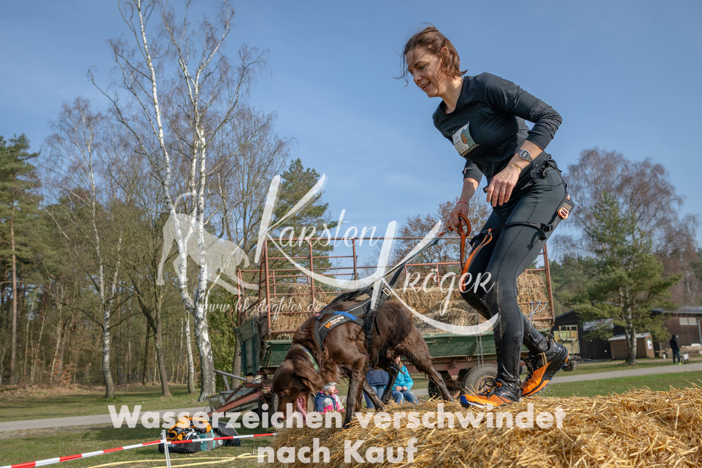 _ZZ91903 | kk-dogfotos
