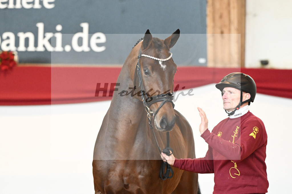 Kat-Nr. 40 Monte Carlo TC x Finest_Gestuet Greim_43230329 | hf-fotografie - Realisiert mit Pictrs.com