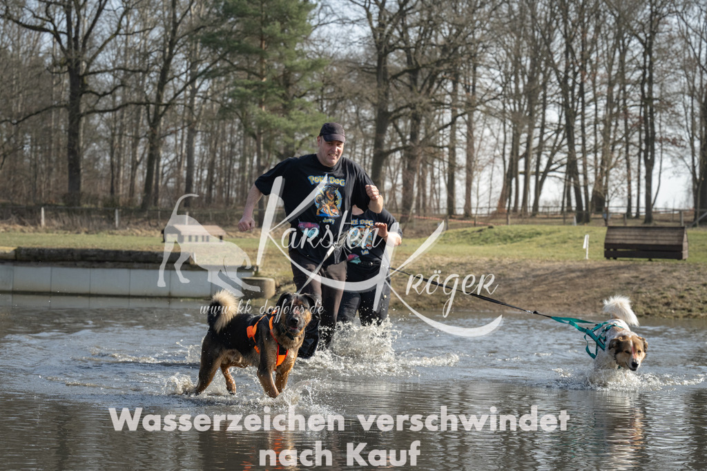 1301_ZZ93888 | kk-dogfotos