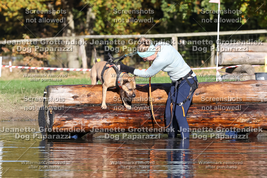 Dog Paparazzi - Strongdog 10-25-8875 | Dog Paparazzi Jeanette Grottendiek Fotografie & Videografie - Realisiert mit Pictrs.com