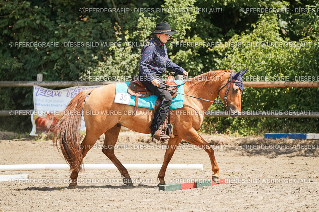 DSC06789 | Pferdegrafie