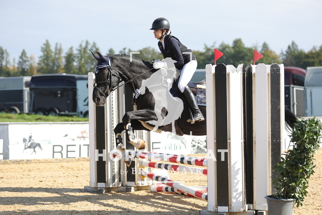 0P6A8047 | Willkommen bei Brunnmayr - Design & Fotografie – Ihrem Spezialisten für Reitturniere und Pferdeveranstaltungen in Oberösterreich, Salzburg und Bayern! Seit über 17 Jahren sind wir leidenschaftlich dabei.