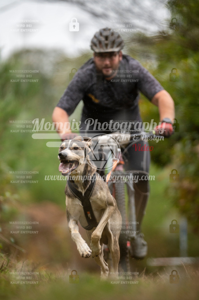 TSB_2023_E5_Bike-18 | PayLife