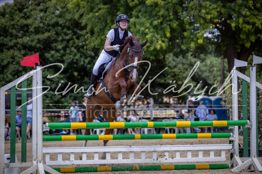 20260704-_3LI9625 | Tierfotografie Pferde, Hunde, Katzen, Haustiere.
Turnierfotografie Reitturniere, Reiten, Springreiten, Dressur in Hanau, dem Main-Kinzig-Kreis und dem Rhein-Main- Gebiet um Frankfurt