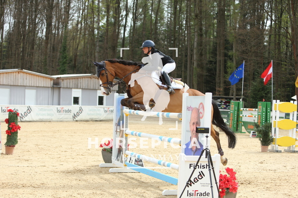 DL2Q2539 | Willkommen bei Brunnmayr - Design & Fotografie – Ihrem Spezialisten für Reitturniere und Pferdeveranstaltungen in Oberösterreich, Salzburg und Bayern! Seit über 17 Jahren sind wir leidenschaftlich dabei.