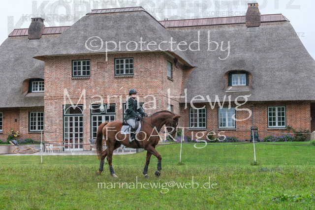 Jagd Perdoel_MarinaHewigDSCF3303 | Fotografie, FotoArt, PferdesportArt, Pferdesportfotografie, Landschaftsfotografie, Reisefotografie, Reise, Pferde - Realisiert mit Pictrs.com