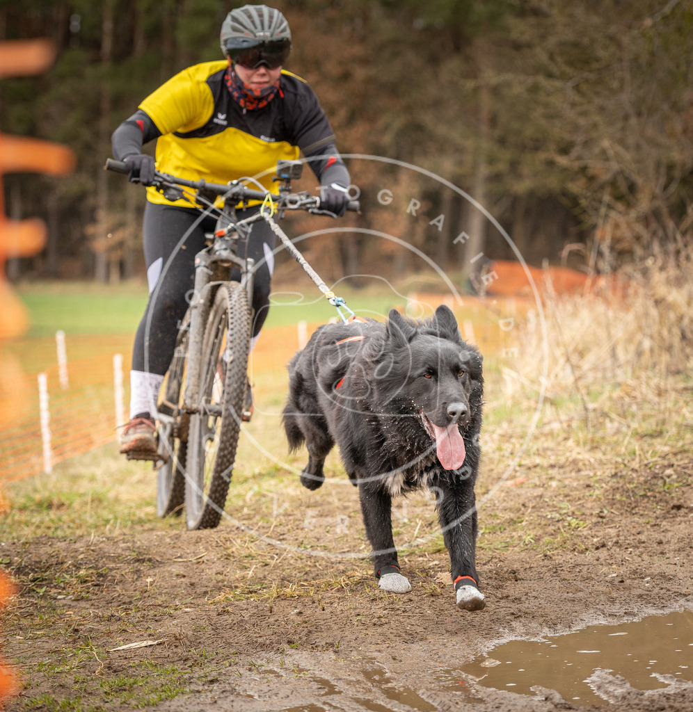 DV3A0912 | Hundefotografie, Tierfotograf, Pfotenfotografie, Fotoshooting Hund, Hunde Portrait, Hundesport, Hundeportraits, Heideshooting, Hunde, Sportfotograf, Hundefotograf, Turnierhundsport, THS,  - Realisiert mit Pictrs.com