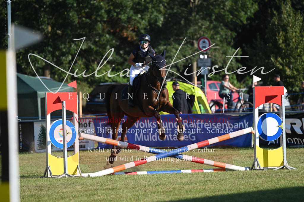 DSC_4846 | Pferde- und Turnierfotografie in Westsachsen. Pferdeportraits, Auftragszeichnungen und intuitive Kunst.