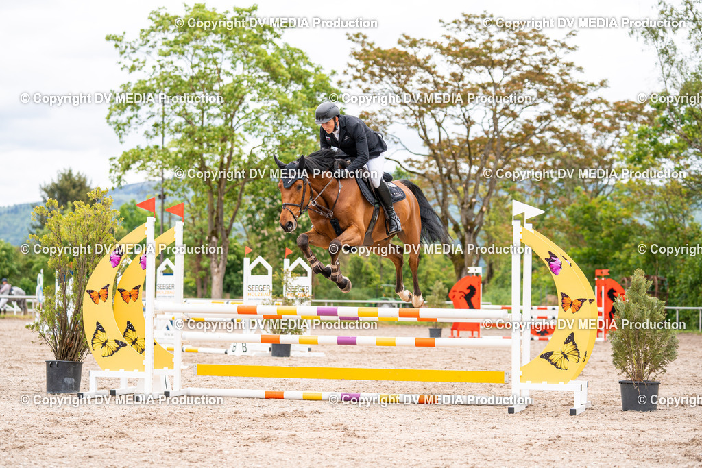 Eppelheim Tag 1-79 | dv-media-shop - Realisiert mit Pictrs.com