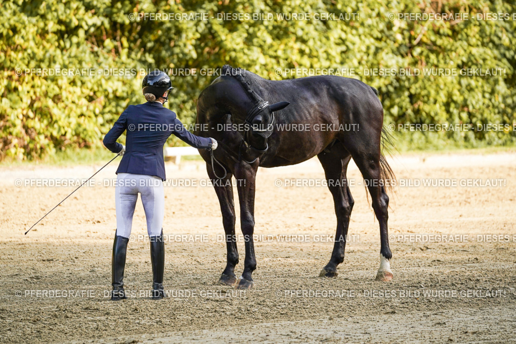 DSC04989 | Pferdegrafie