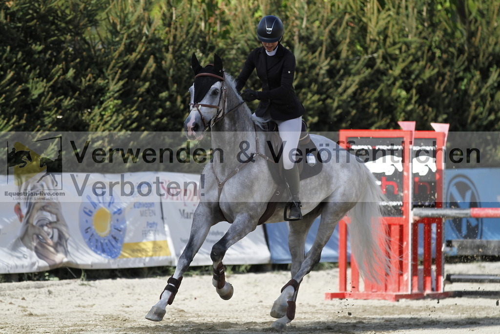_MG_3741 | equestrian-live-com