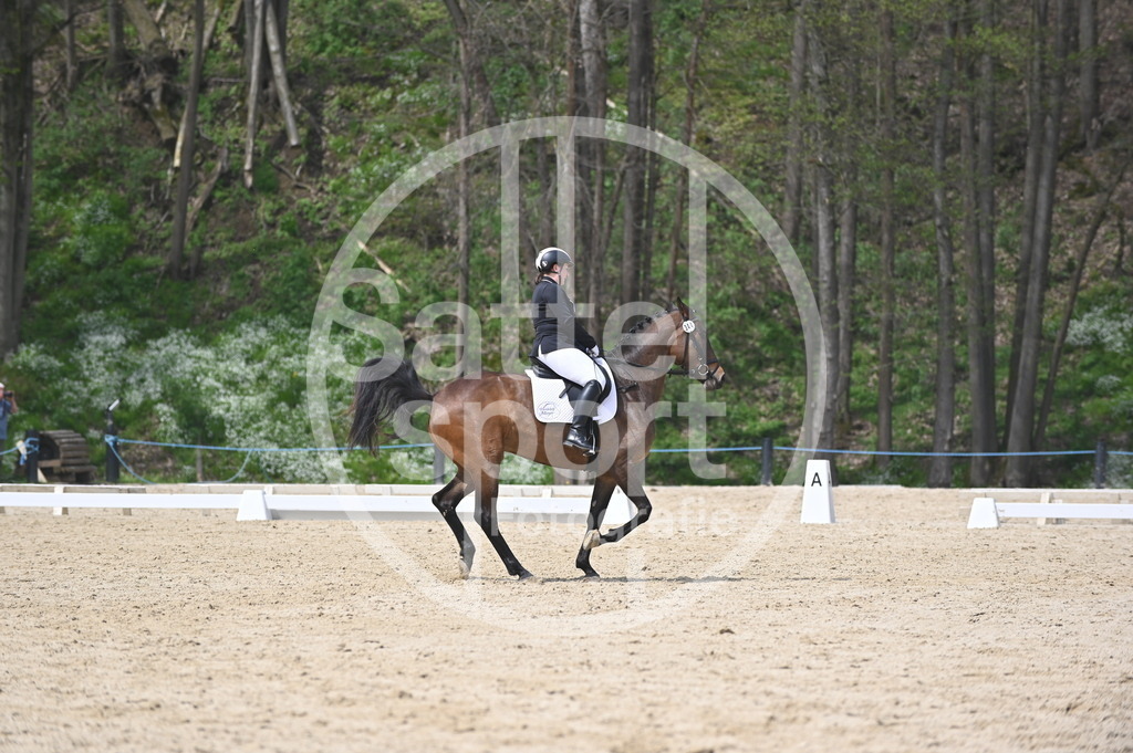 DSC_3319 | sattelsport - Realisiert mit Pictrs.com