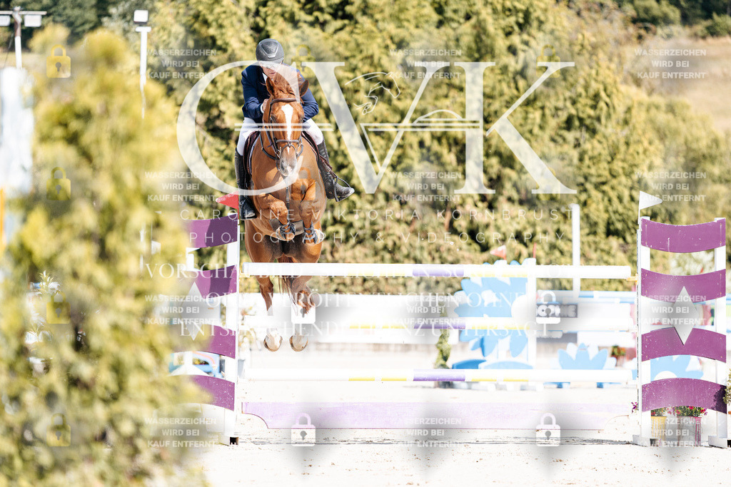 CK908812 | Turnierfotografie Pferdefotografie Trier Rheinland-Pfalz Pferdesport Reitsport Tierfotografie Sportfotografie Pferdevideo Pferdevideografie Equestrianvideography equestrianphotography  - Realisiert mit Pictrs.com