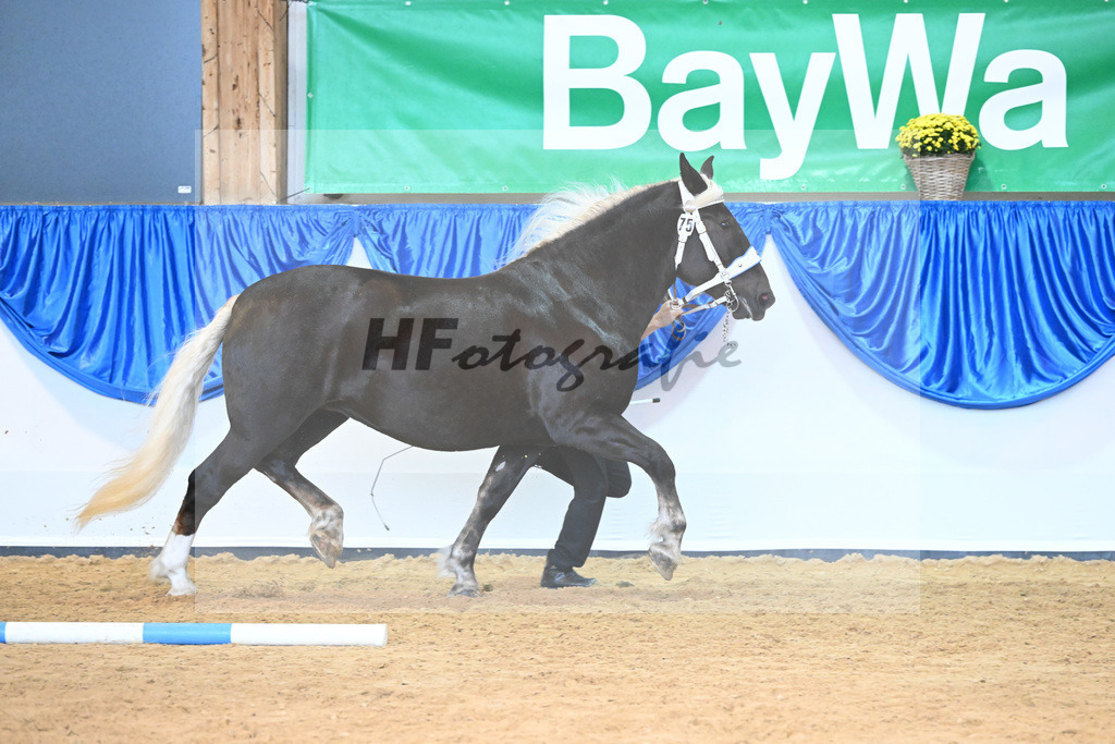 Kat-Nr. 75 Maya_Hoeck_53220341 | hf-fotografie - Realisiert mit Pictrs.com