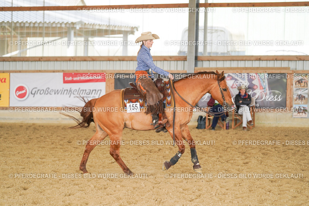 DSC01540 | Pferdegrafie