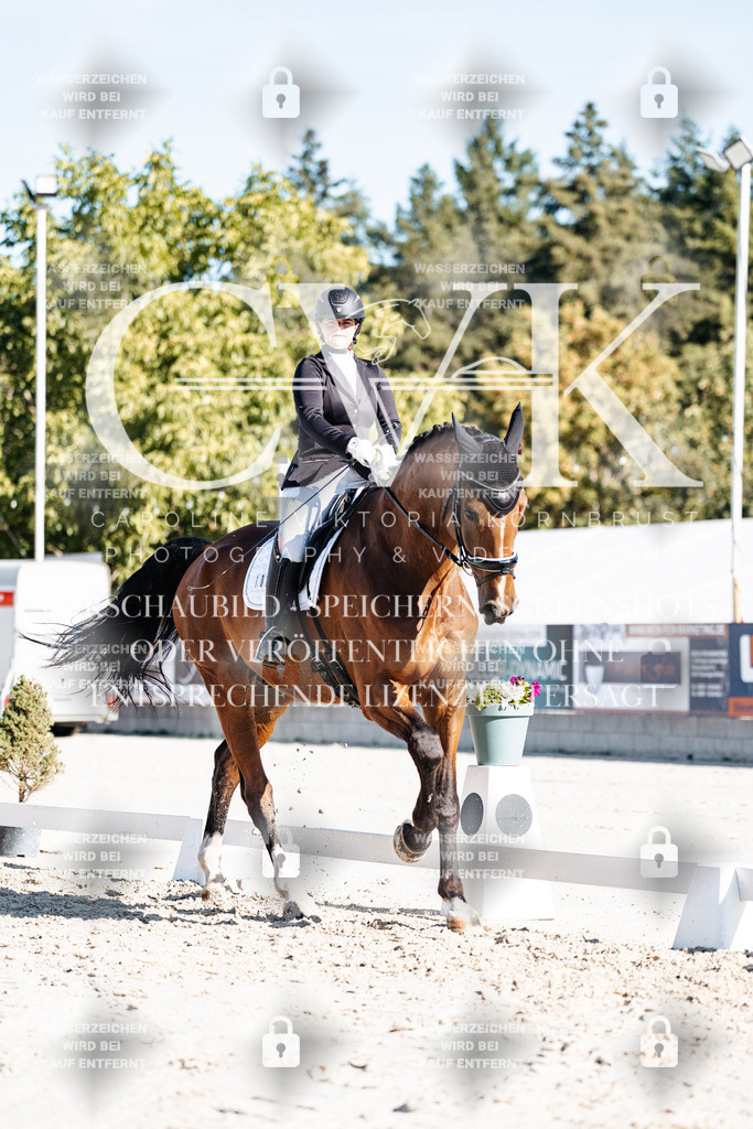CK907733 | Turnierfotografie Pferdefotografie Trier Rheinland-Pfalz Pferdesport Reitsport Tierfotografie Sportfotografie Pferdevideo Pferdevideografie Equestrianvideography equestrianphotography  - Realisiert mit Pictrs.com