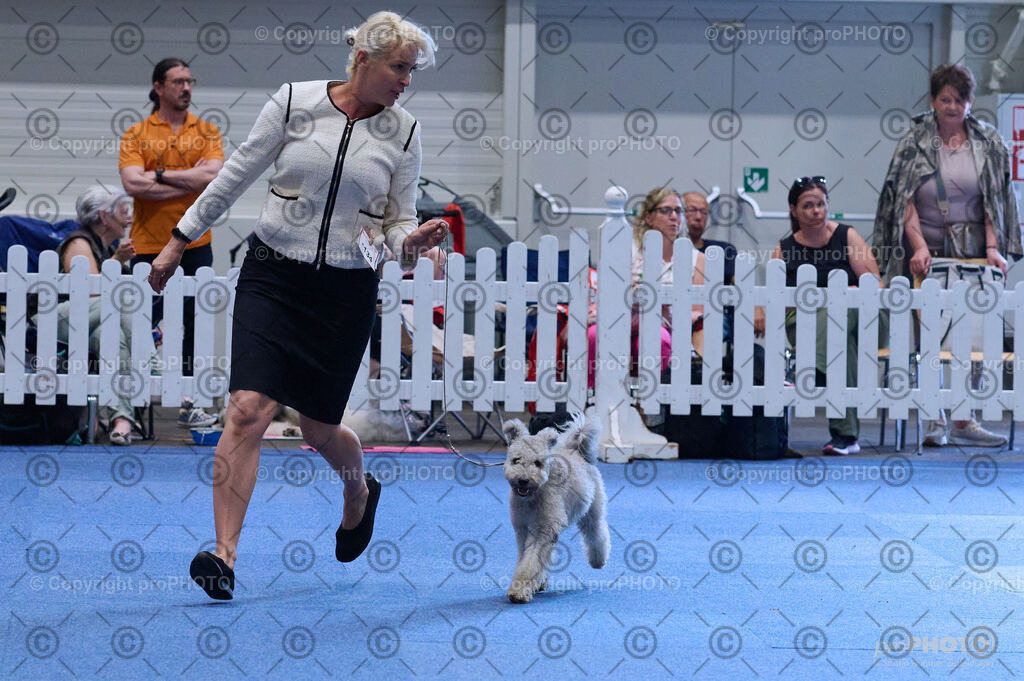 202406_ÖKV-IHA-Tulln24_DSC_3812 | proPHOTO - Realisiert mit Pictrs.com