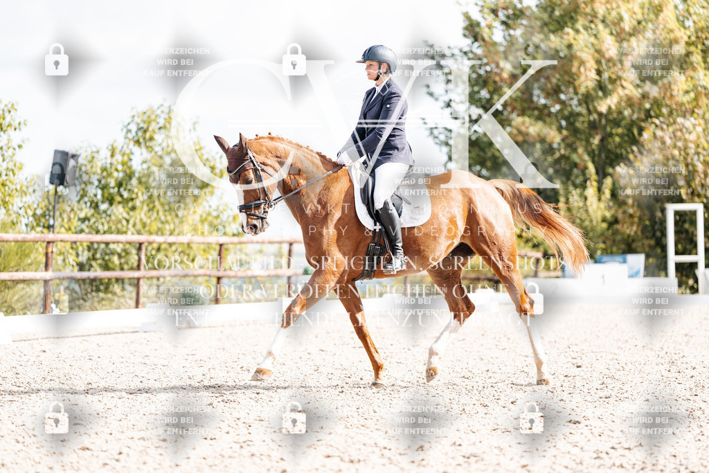 CK901841 | Turnierfotografie Pferdefotografie Trier Rheinland-Pfalz Pferdesport Reitsport Tierfotografie Sportfotografie Pferdevideo Pferdevideografie Equestrianvideography equestrianphotography  - Realisiert mit Pictrs.com