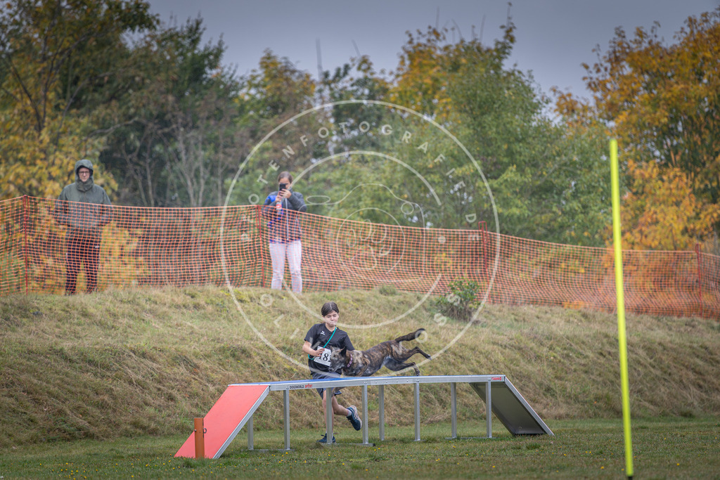 Pfotenfotografie_DV3A0331 | Hundefotografie, Tierfotograf, Pfotenfotografie, Fotoshooting Hund, Hunde Portrait, Hundesport, Hundeportraits, Heideshooting, Hunde, Sportfotograf, Hundefotograf, Turnierhundsport, THS,  - Realisiert mit Pictrs.com