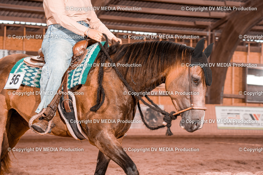 NE200543 | dv-media-shop - Realisiert mit Pictrs.com