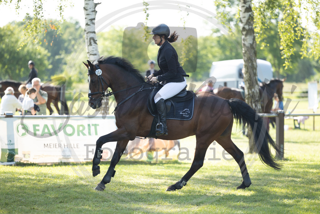 994A3658 | sabrinanicolaifotografie - Realisiert mit Pictrs.com