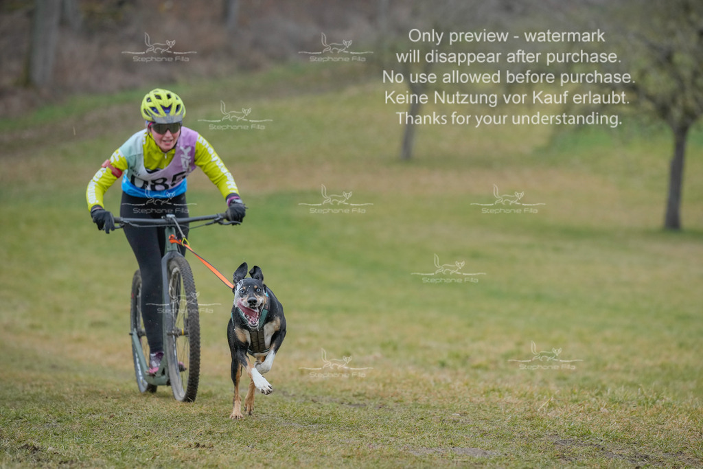 Sa_Scooter1-111 | stephaniefillaphotographie - Realisiert mit Pictrs.com