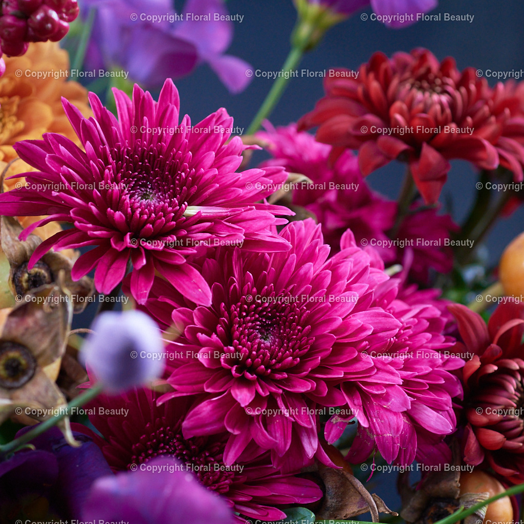 Rot-oranger Strauß aus Nelken und Chrysanthemen | Onlineshop für hochwertige Wandbilder. Bei uns findet ihr selbstgestaltete Blumenmotive. Das perfekte Geschenk, als Praxisdeko oder die eigene Wohnung. Alle künstlerischen Blumenfotos sind auf Leinwand, FineArtPrint, Kunstdruck und vielem mehr zu erwerben - Realisiert mit Pictrs.com