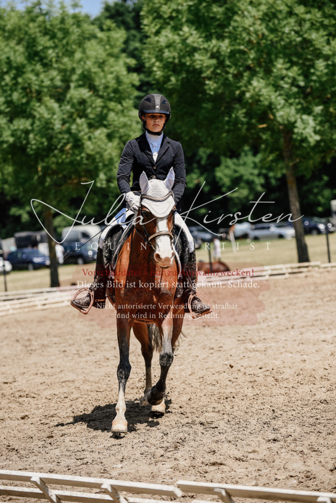 DSC_1947 | Pferde- und Turnierfotografie in Westsachsen. Pferdeportraits, Auftragszeichnungen und intuitive Kunst.