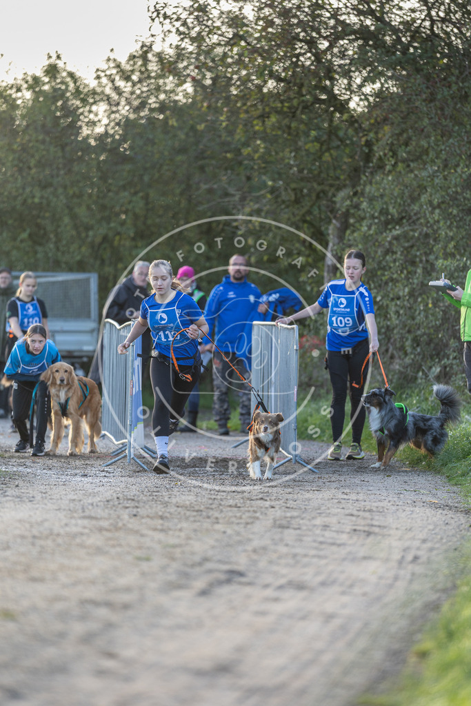 Pfotenfotografie.de_DV3A2497 | Hundefotografie, Tierfotograf, Pfotenfotografie, Fotoshooting Hund, Hunde Portrait, Hundesport, Hundeportraits, Heideshooting, Hunde, Sportfotograf, Hundefotograf, Turnierhundsport, THS, canicross - Realisiert mit Pictrs.com