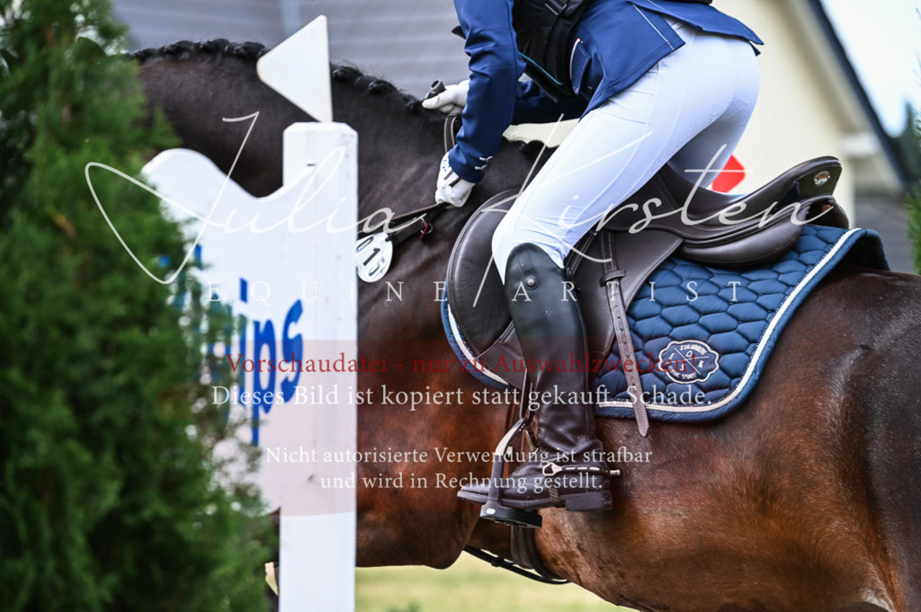 DSC_8233 | Pferde- und Turnierfotografie in Westsachsen. Pferdeportraits, Auftragszeichnungen und intuitive Kunst.