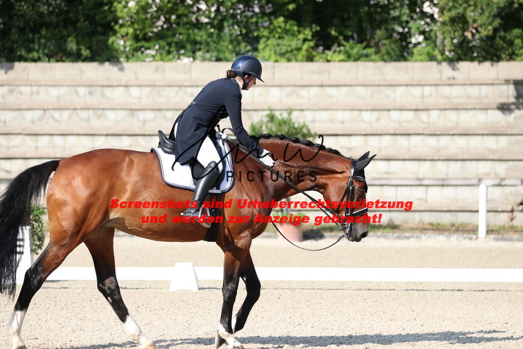 IMG_8895 | lmwpictures - Realisiert mit Pictrs.com