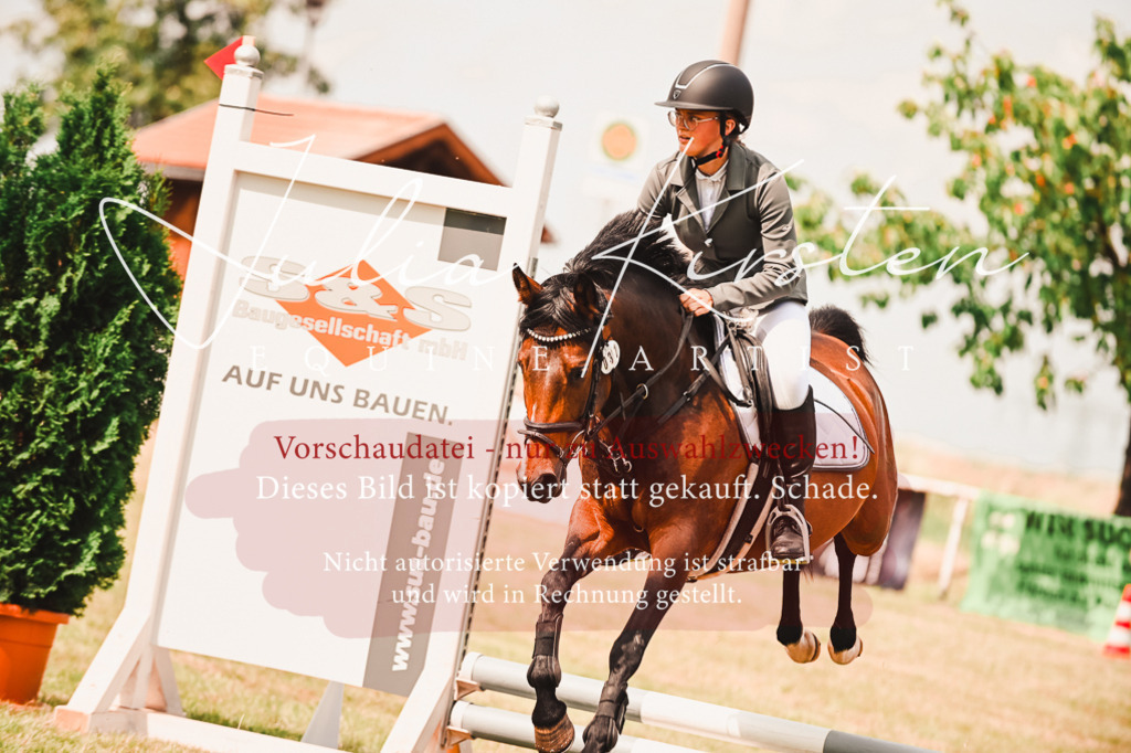 DSC_6902 | Pferde- und Turnierfotografie in Westsachsen. Pferdeportraits, Auftragszeichnungen und intuitive Kunst.