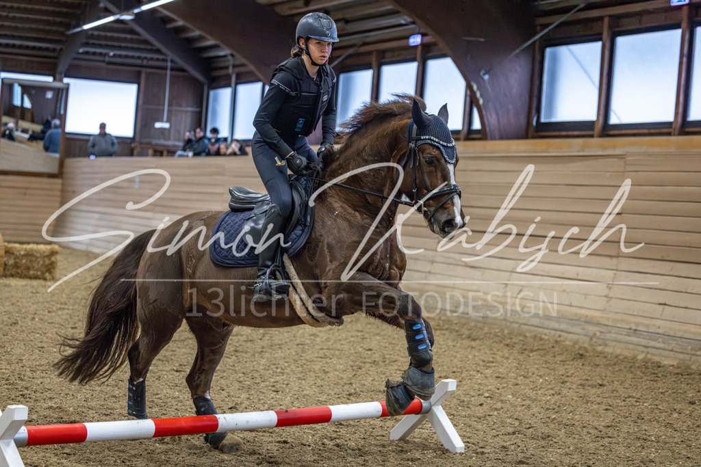20260222-_3LI1166 | Tierfotografie Pferde, Hunde, Katzen, Haustiere.
Turnierfotografie Reitturniere, Reiten, Springreiten, Dressur in Hanau, dem Main-Kinzig-Kreis und dem Rhein-Main- Gebiet um Frankfurt