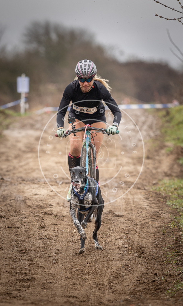 DV3A9556 | Hundefotografie, Tierfotograf, Pfotenfotografie, Fotoshooting Hund, Hunde Portrait, Hundesport, Hundeportraits, Heideshooting, Hunde, Sportfotograf, Hundefotograf, Turnierhundsport, THS,  - Realisiert mit Pictrs.com