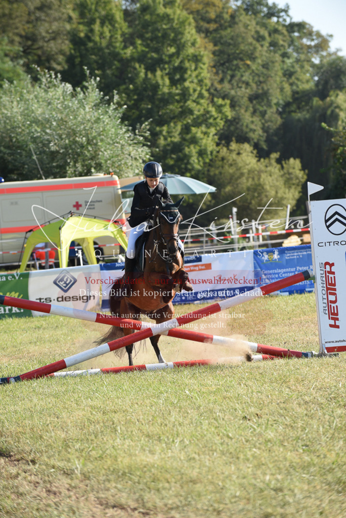 DSC_5545 | Pferde- und Turnierfotografie in Westsachsen. Pferdeportraits, Auftragszeichnungen und intuitive Kunst.