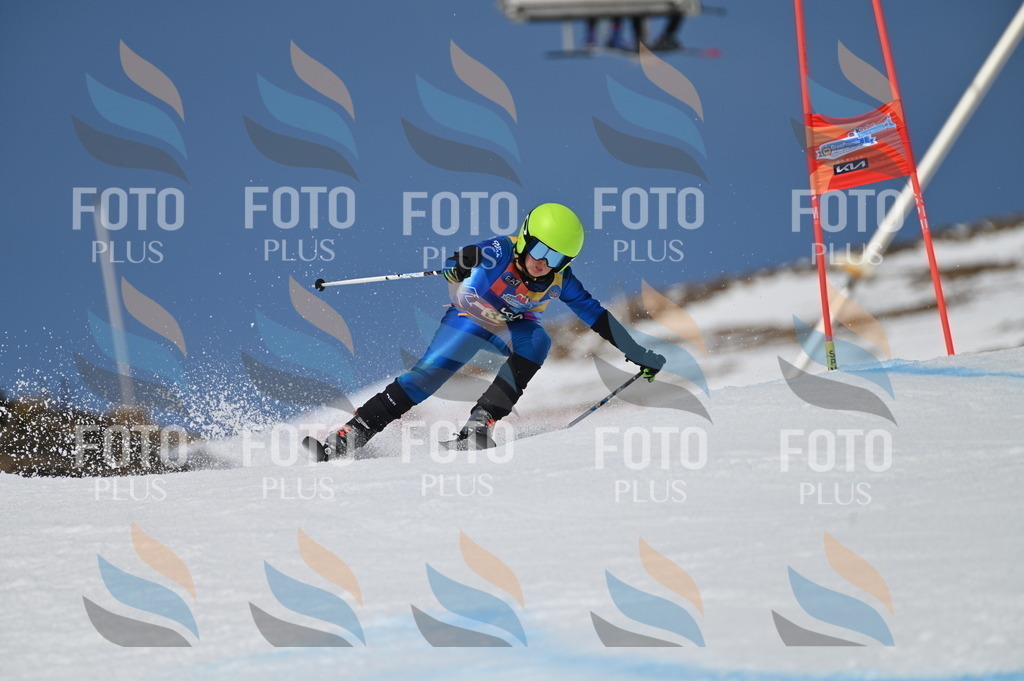 BGV_6591 | holidayphoto