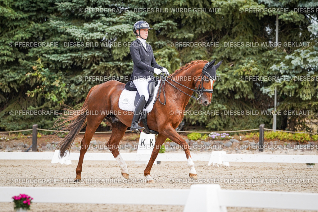 DSC04043 | Pferdegrafie