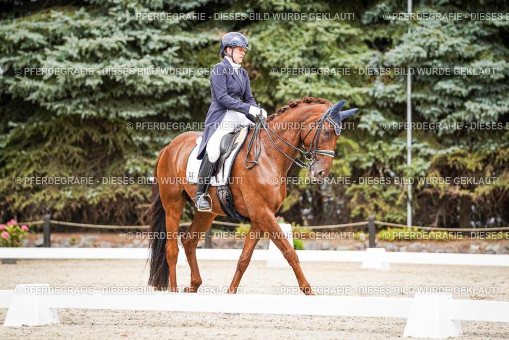 DSC05918 | Pferdegrafie