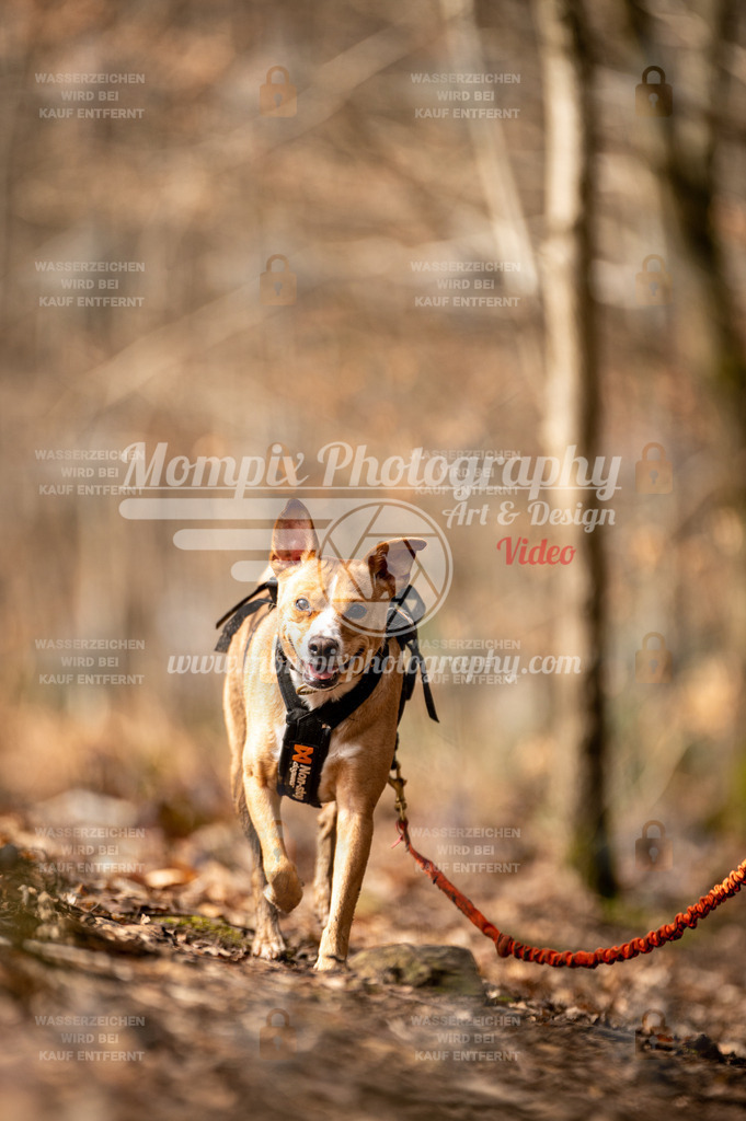 SPA_2023_DIM_CCK-190 | PayLife