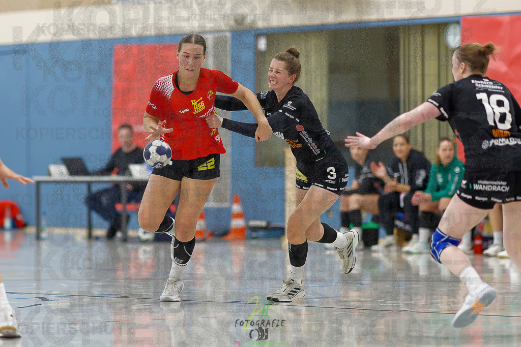 Frauen Regionalliga (HHV); HSG Wettenberg - HSG Twistetal | Frauen Regionalliga (HHV); HSG Wettenberg - HSG Twistetal am 08.11.2025 in Launsbach (Wettenberg) (Halle GS Launsbach (Wettenberg))Photo © 2025 - Jörg Heinrich - Realisiert mit Pictrs.com