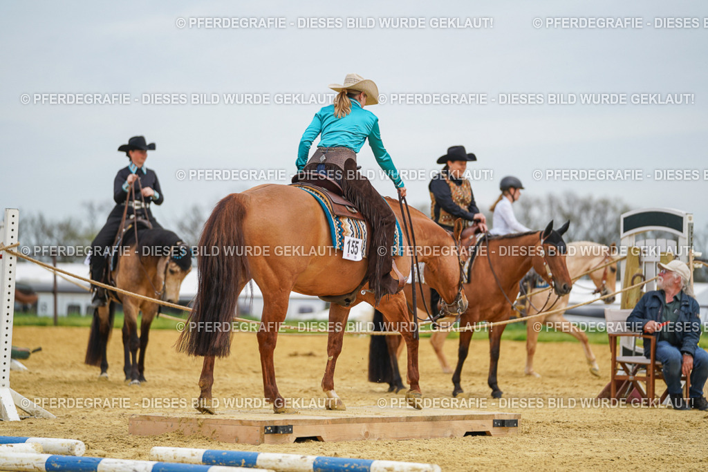 DSC03057 | Pferdegrafie